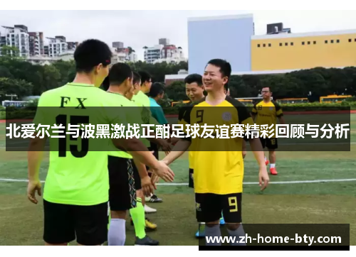 北爱尔兰与波黑激战正酣足球友谊赛精彩回顾与分析 北爱尔兰与波黑激战正酣足球友谊赛精彩回顾与分析